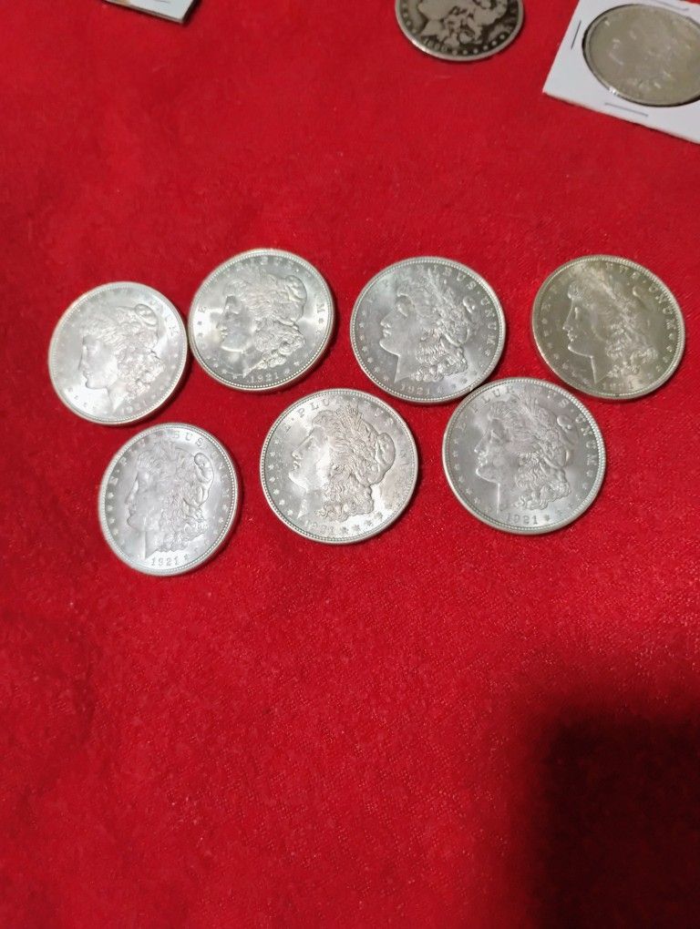 Silver Extravaganza.Motgsnd And Peace Dollars