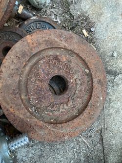 22lb plate 1peice