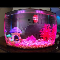 Top Fin 5 Gallon Desktop Aquarium Kit