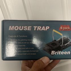 Mouse traps 6 pack