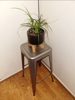 Gray Bar Stool