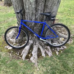 26” Schwinn Mountain Bike (large Frame)