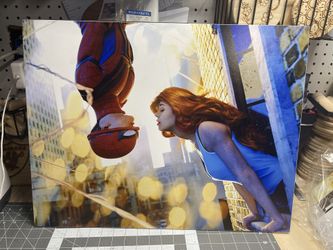 Spider-man Poster Board