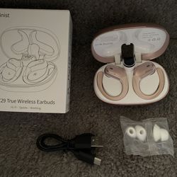 Wireless earbuds