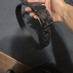 Coach Belt