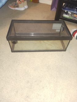 Reptile Enclosure