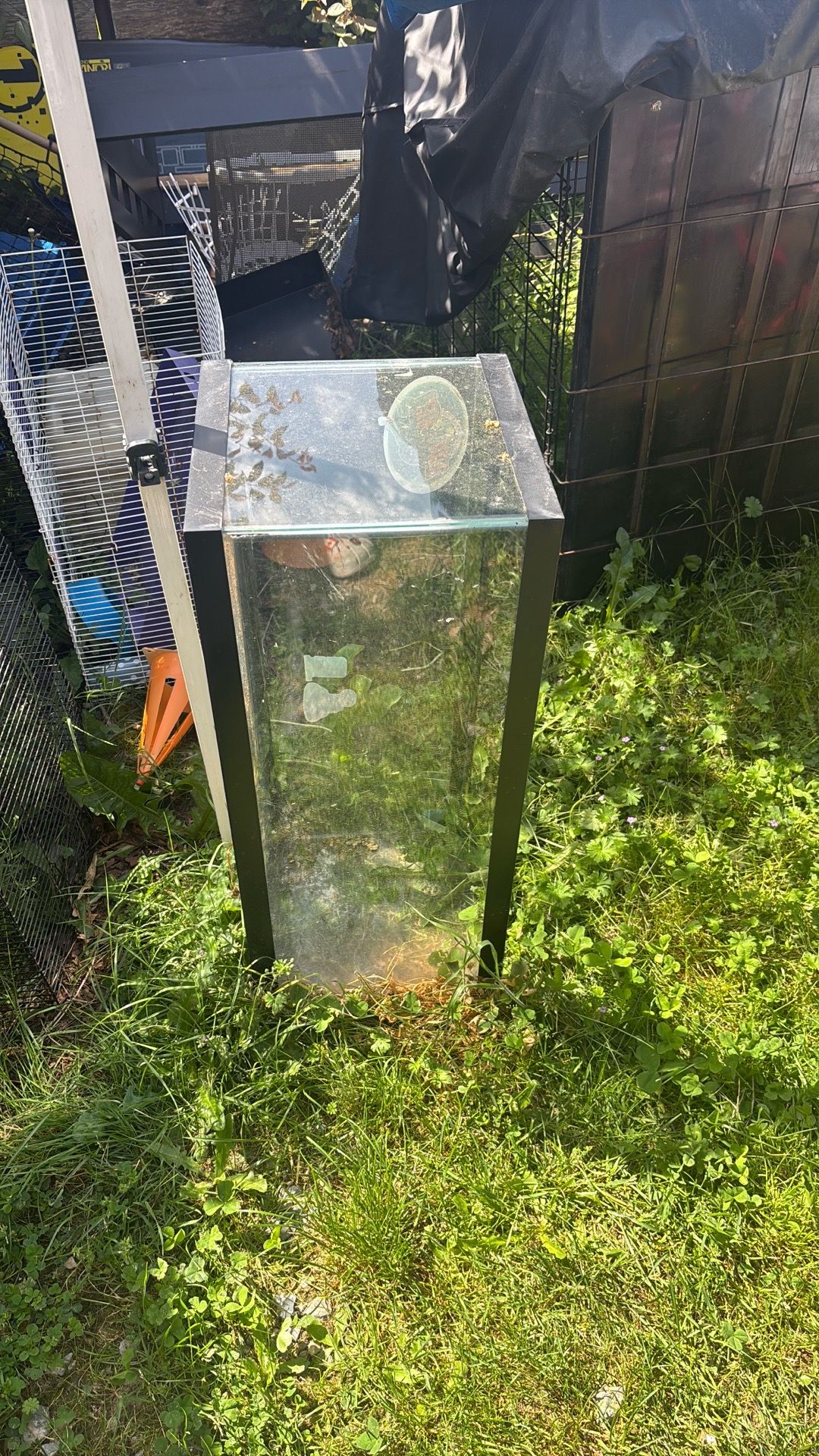 20 gallon long tank