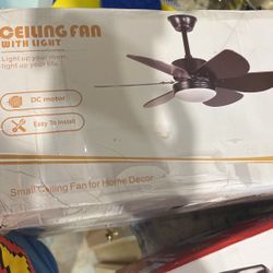 Fan With Light