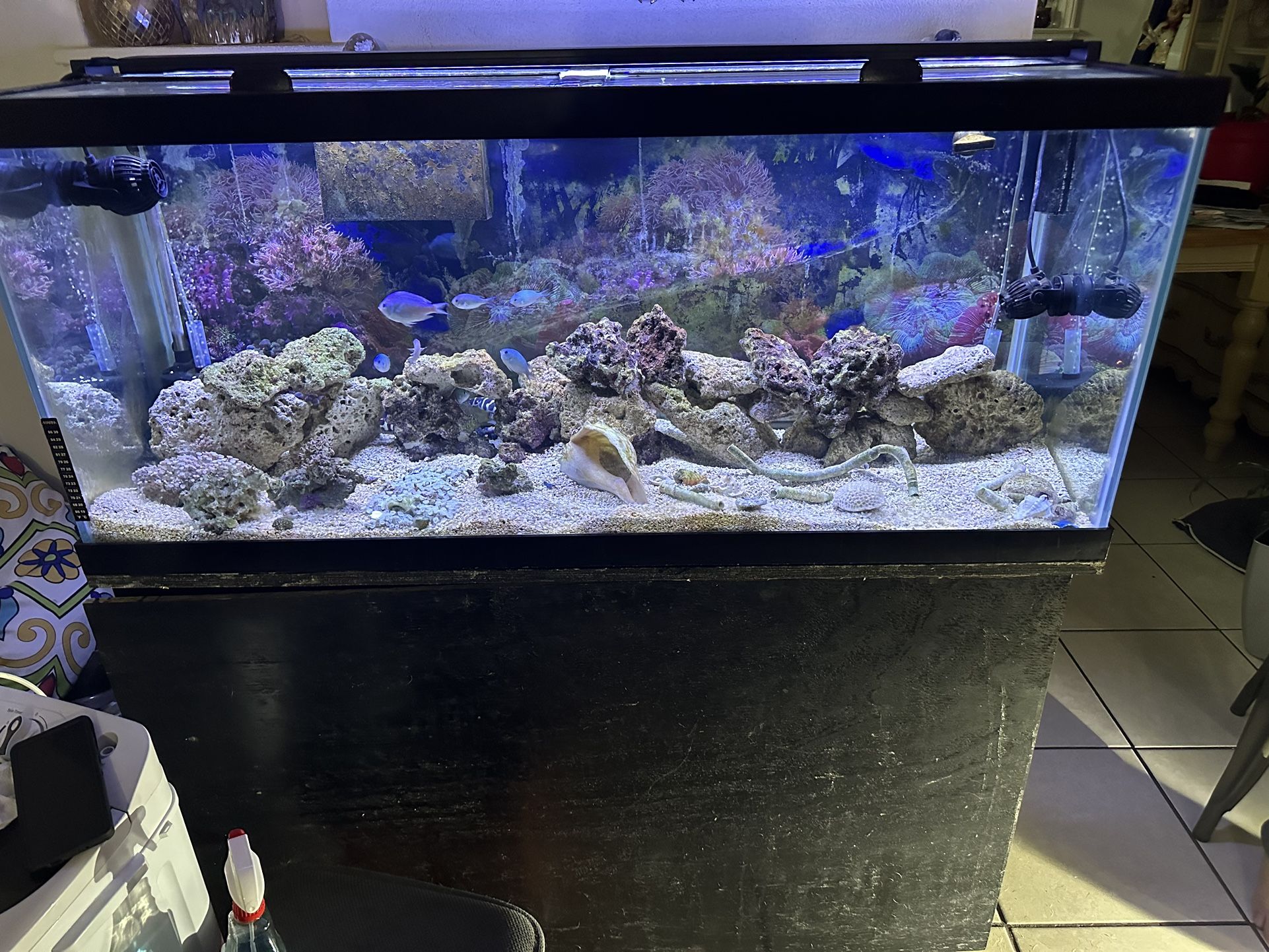 Use 75 Gallon Fish Tank ￼