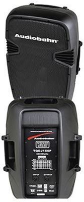 Audiobahn 15 DJ Passive Cabinet 2400w ACS151P Halloween party