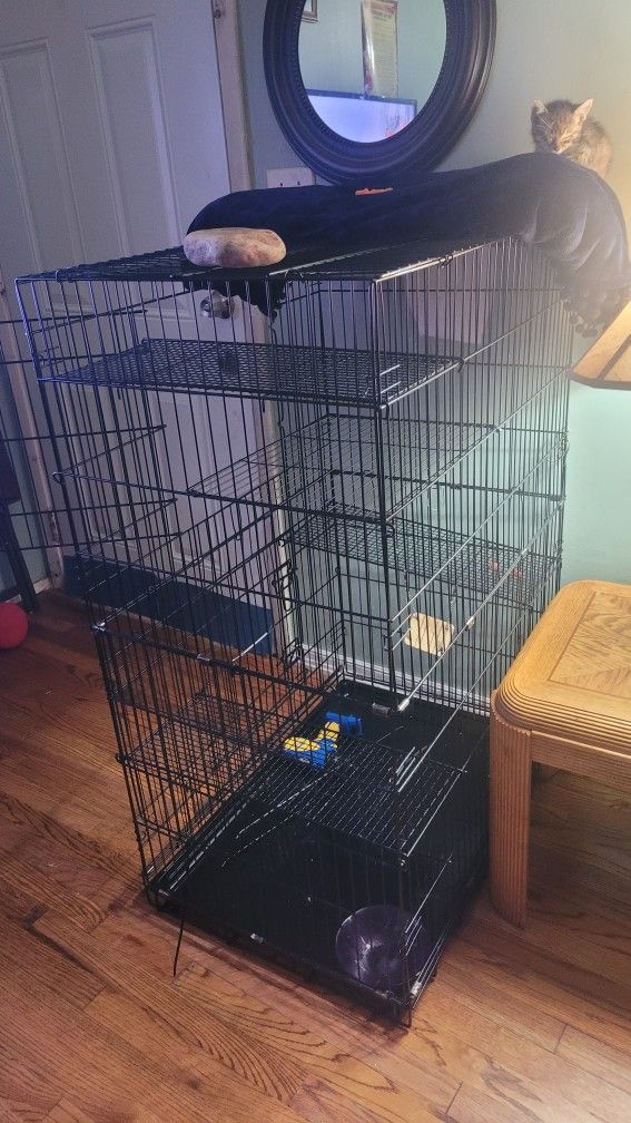 Cage 