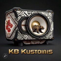 Car Audio & Accessories 