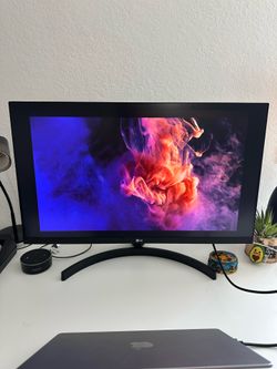 LG 27” Monitor (Model: 27ML600M)