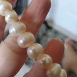 Natural Fresh pearl Bracelet 