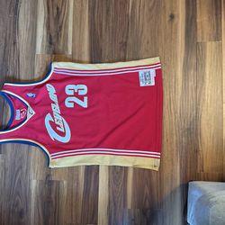 LeBron James Hardwood Classic Jersey