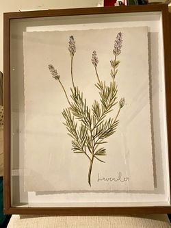 Set Of 3- Lavender, Sage, Rosemary Wall Hanging