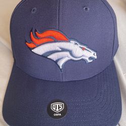 Broncos Snap Back 