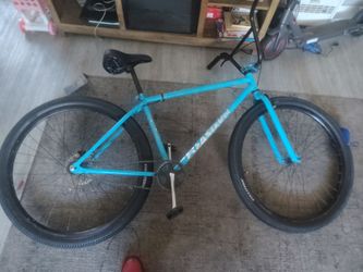 29" Beastern $200 Big BMX