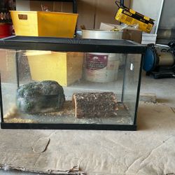 Snake (reptile) Tank With Rock Cave 