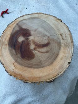 Stylist cutting board