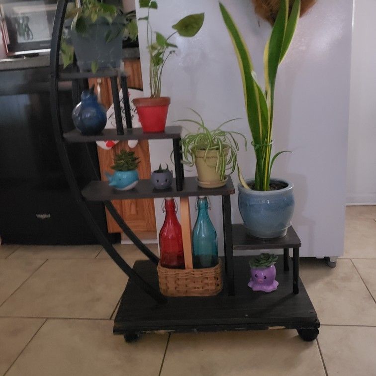 Plant Stand