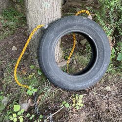 Rainbow Play set Two Chain Tire Swing