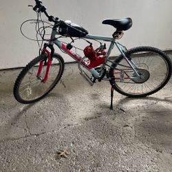 2 stroke 80cc moter gas bike