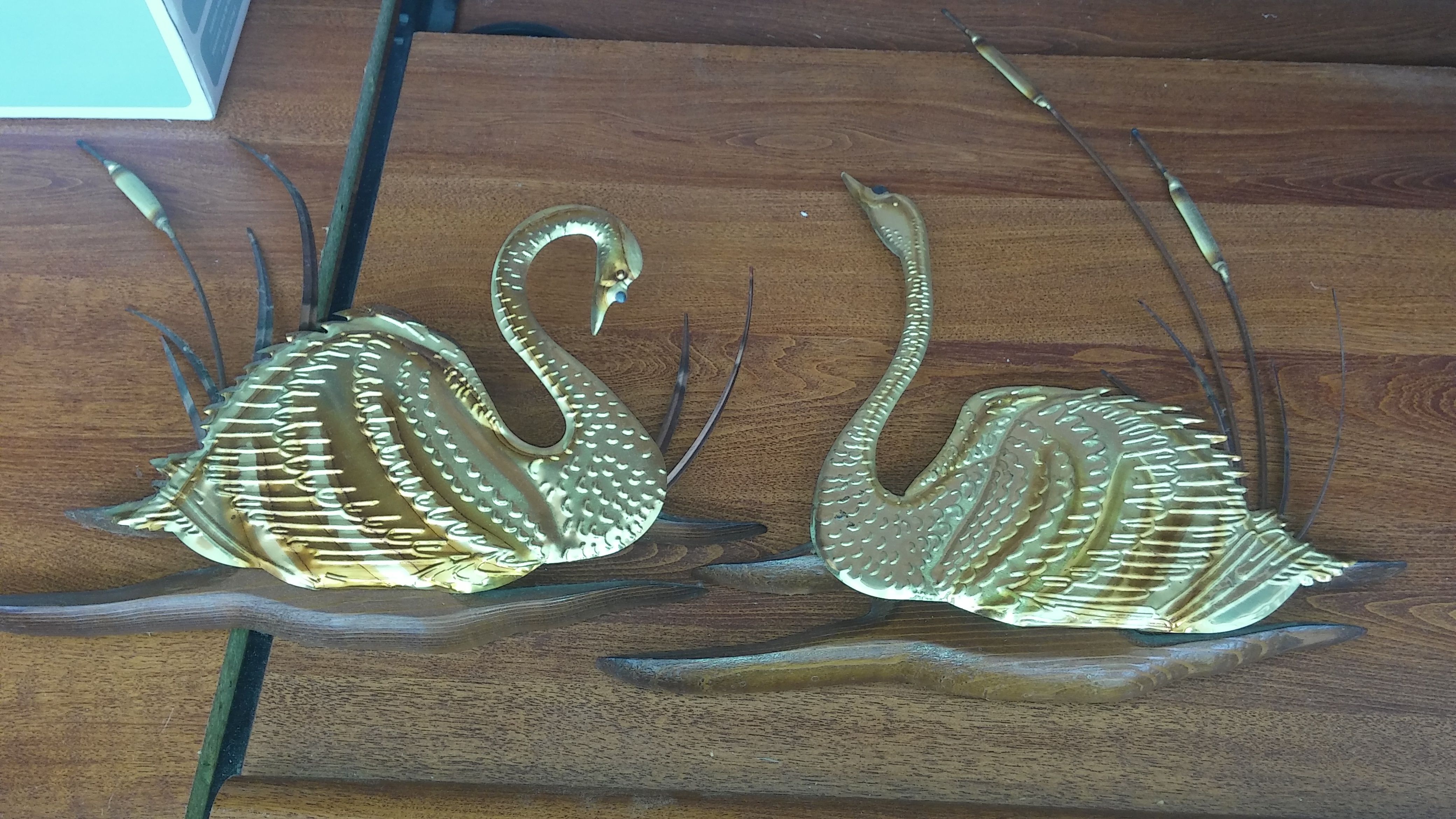 Swans