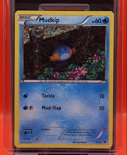 Mudkip 5/12 McDonald's Promos 2015 Promo Card Pokemon TCG, LP