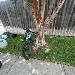 24” Girls Bike 