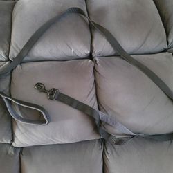 Dog Lease-- New 