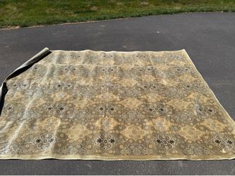 Gorgeous Taupe/Gold Area Rug