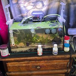 8 Gallon Fish Tank