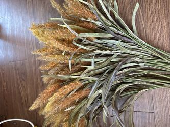 Dried Pampas Grass Bundle