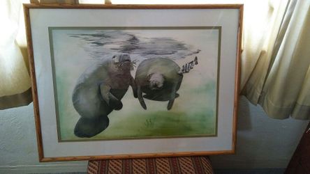 Manatee Picture