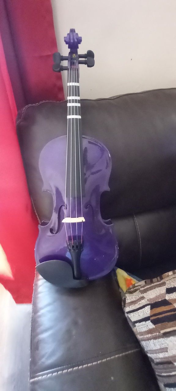 Viola