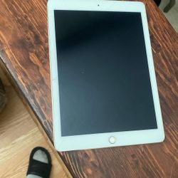 Apple iPad