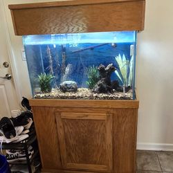 55 Gal Aquarium with Stand