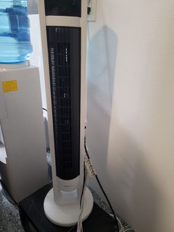 White Fan