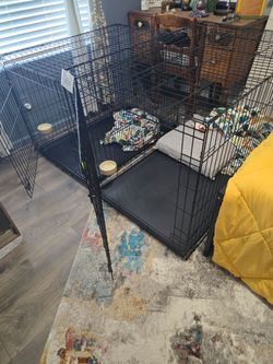 Kennels