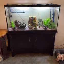 Complete Tank 
