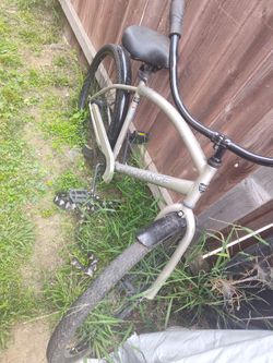 Beach cruiser men