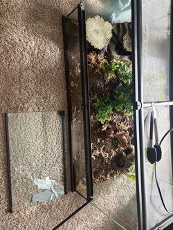 Reptile enclosure