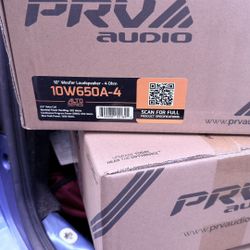 2x prv 10w650a-4