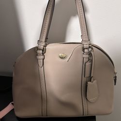 Coach Dome Purse