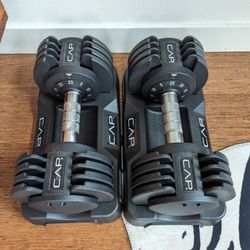 adjustable dumbbell set