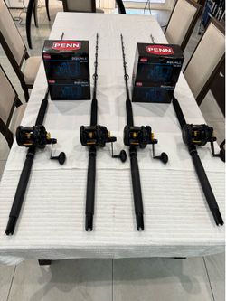New Penn Squall 16VS 2 Speed on Palmetto 5’9”’  30-50lb Rods
