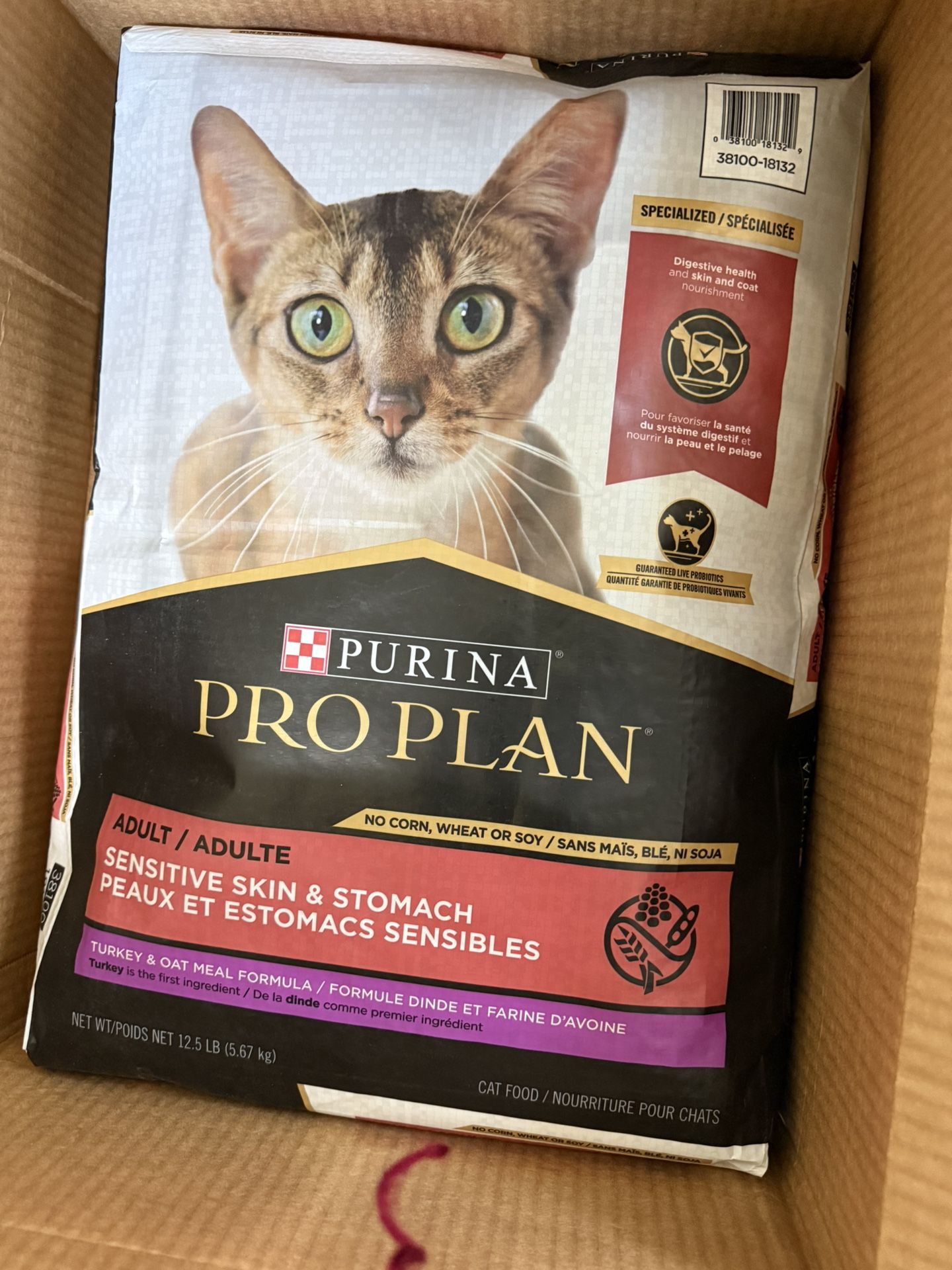 Cat Food