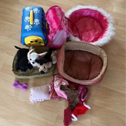 Dog Plushies And Accessories