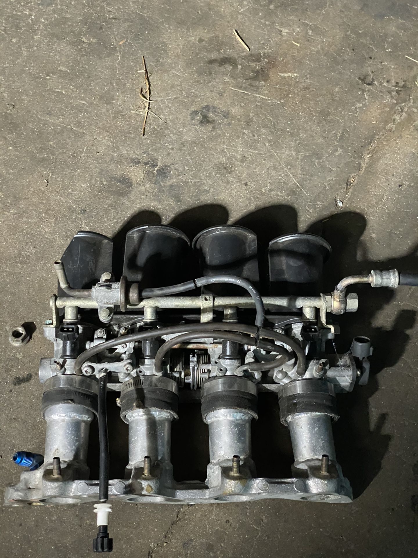 D Series Itb’s